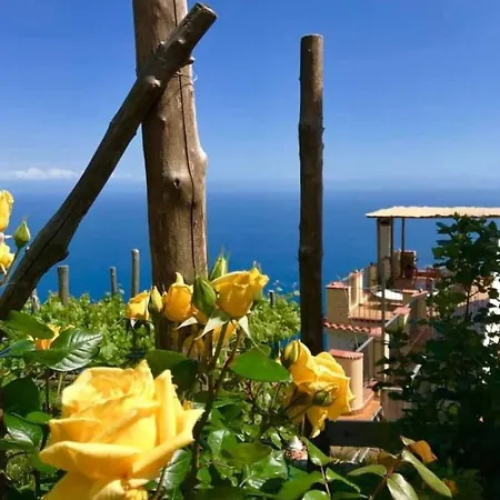 Tenuta La Picola * Furore