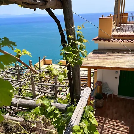 Tenuta La Picola