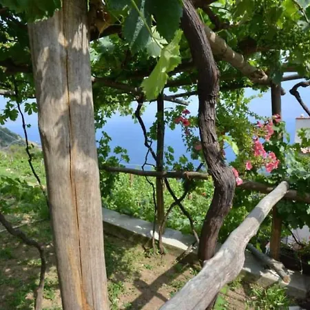 Tenuta La Picola Furore
