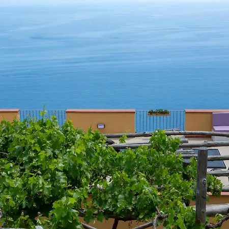 Tenuta La Picola Farm stay *
